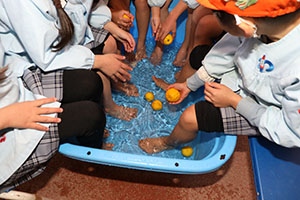 日本の伝統　ー年賀状・足湯ー　E