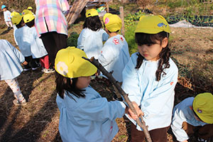 お散歩へでかけました　ひよこ・あひる・ぺんぎん