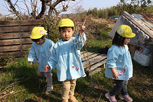 お散歩へでかけました　ひよこ・あひる・ぺんぎん