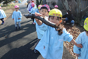 お散歩へでかけました　ひよこ・あひる・ぺんぎん