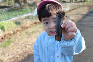 お散歩へでかけました　ひよこ・あひる・ぺんぎん