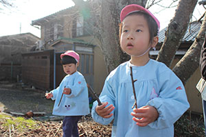 お散歩へでかけました　ひよこ・あひる・ぺんぎん