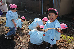お散歩へでかけました　ひよこ・あひる・ぺんぎん