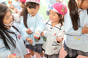 氷ができたよ　ばら