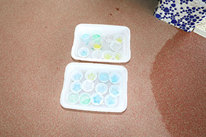 氷ができたよ　ばら