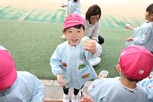 氷ができたよ　ばら