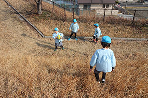 お散歩へでかけました　さくら・りす