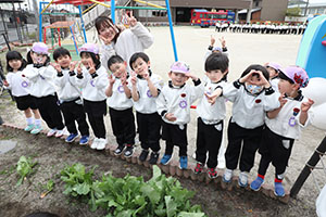 育てたカブを収穫しました　すみれ