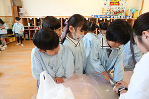 育てたカブいただきます　すみれ