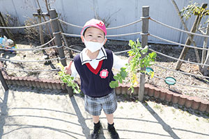 育てた大根を収穫しました✨　ばら