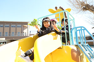 育てた大根を収穫しました✨　ばら