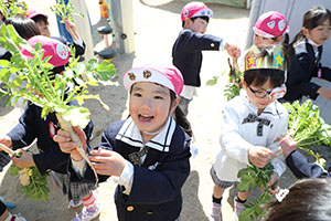 育てた大根を収穫しました✨　ばら