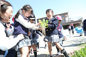 育てた大根を収穫しました✨　ばら