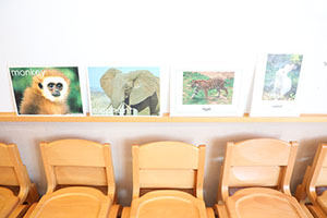 イングリッシュ　こあら・ことり