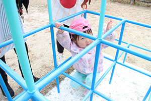 お散歩楽しかったね　ひよこ