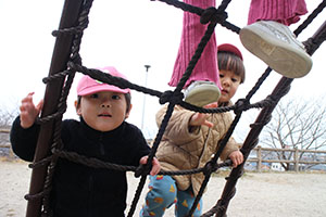 お散歩楽しかったね　ひよこ