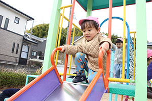 お散歩楽しかったね　ひよこ