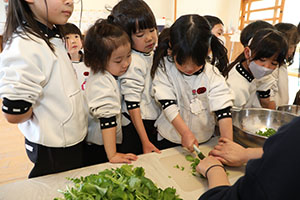 収穫した大根いただきます！　ばら