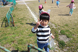 お散歩たのしかったね　ひよこ