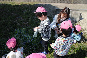 お散歩たのしかったね　ひよこ