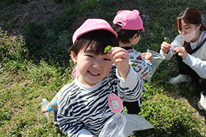 お散歩たのしかったね　ひよこ