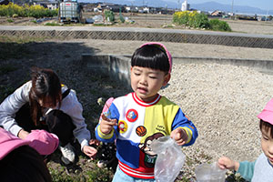 お散歩たのしかったね　ひよこ