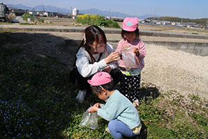 お散歩たのしかったね　ひよこ