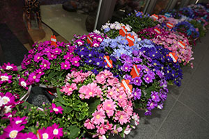 第71回　エンゼル幼稚園卒園証書授与式 　NO.1