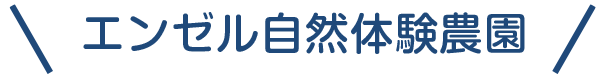 キッズデザイン賞を受賞した園舎